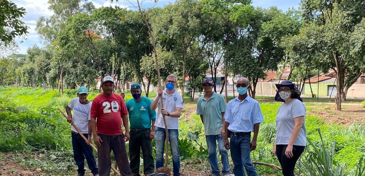 SAMA faz balanço das ações ao Dia do Meio Ambiente