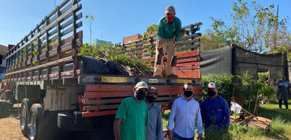 Doação de mudas atende Viveiro Municipal