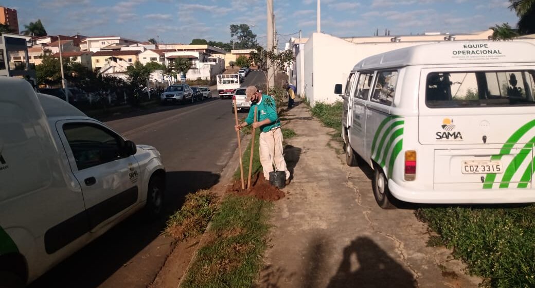 Sama faz manutenção de florestas urbanas