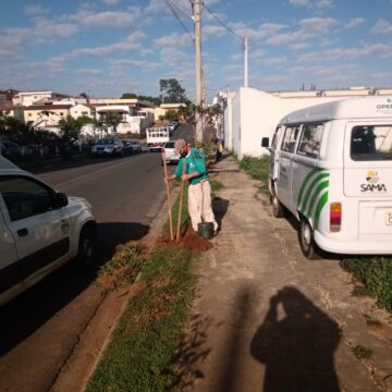 Sama faz manutenção de florestas urbanas