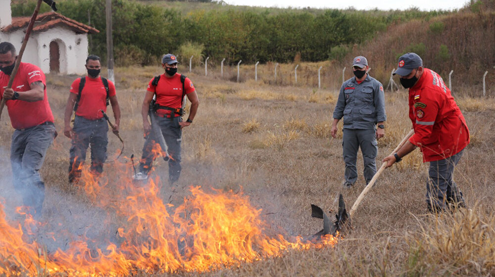 Bombeiros ministram treinamento para agentes