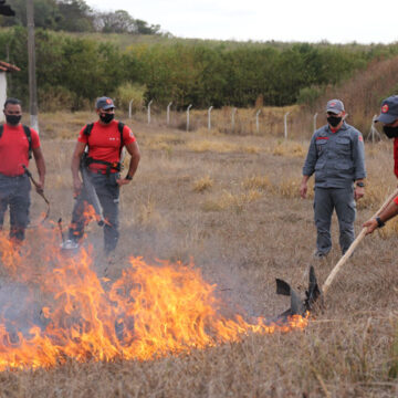 Bombeiros ministram treinamento para agentes