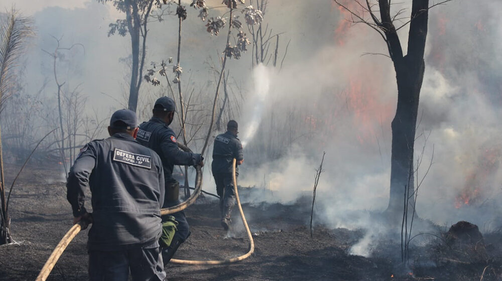 Moradores e Defesa Civil combatem incêndio próximo a Usina