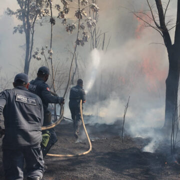 Moradores e Defesa Civil combatem incêndio próximo a Usina