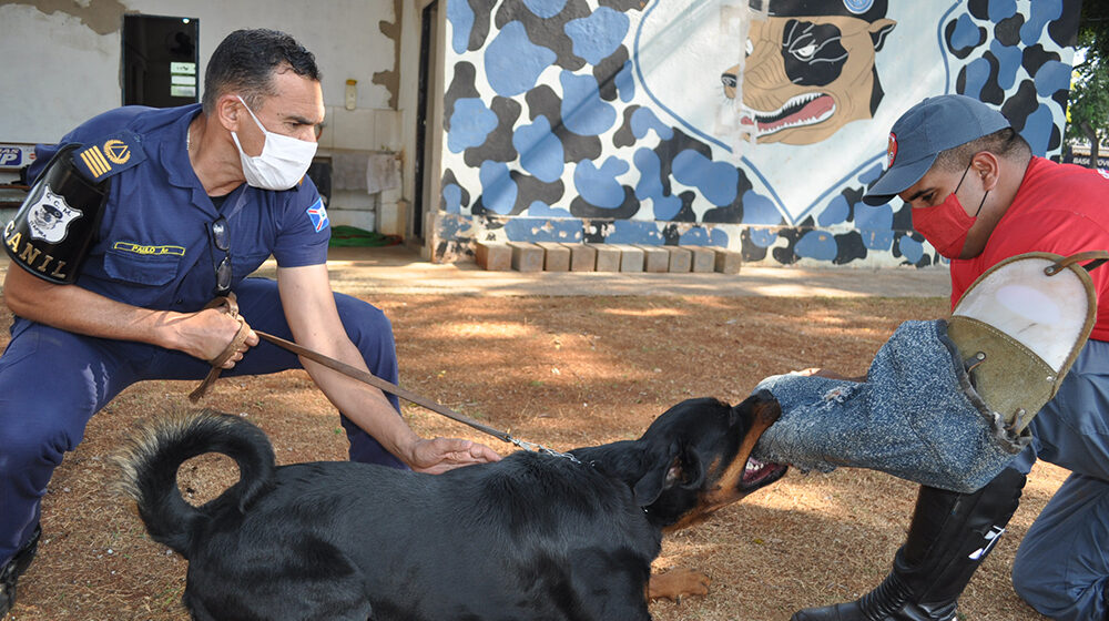 Após treinamento, equipe do Canil está ainda mais bem preparada