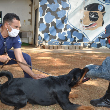 Após treinamento, equipe do Canil está ainda mais bem preparada