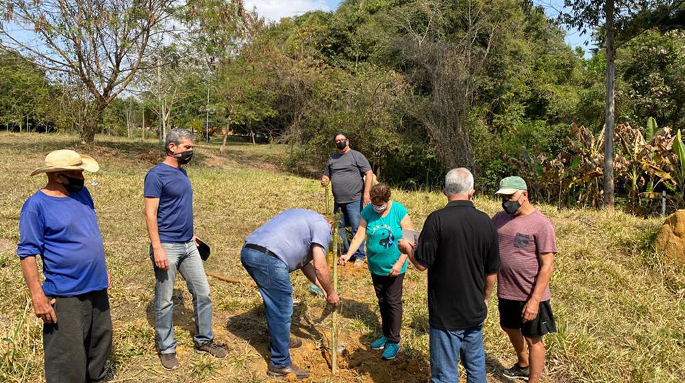 Nascente modelo recebe plantio de mudas