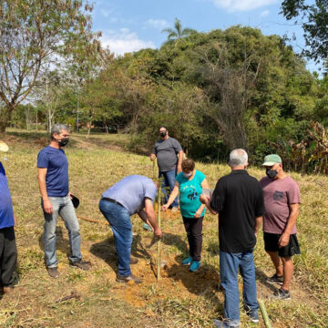 Nascente modelo recebe plantio de mudas