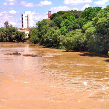 Período da piracema segue até fevereiro