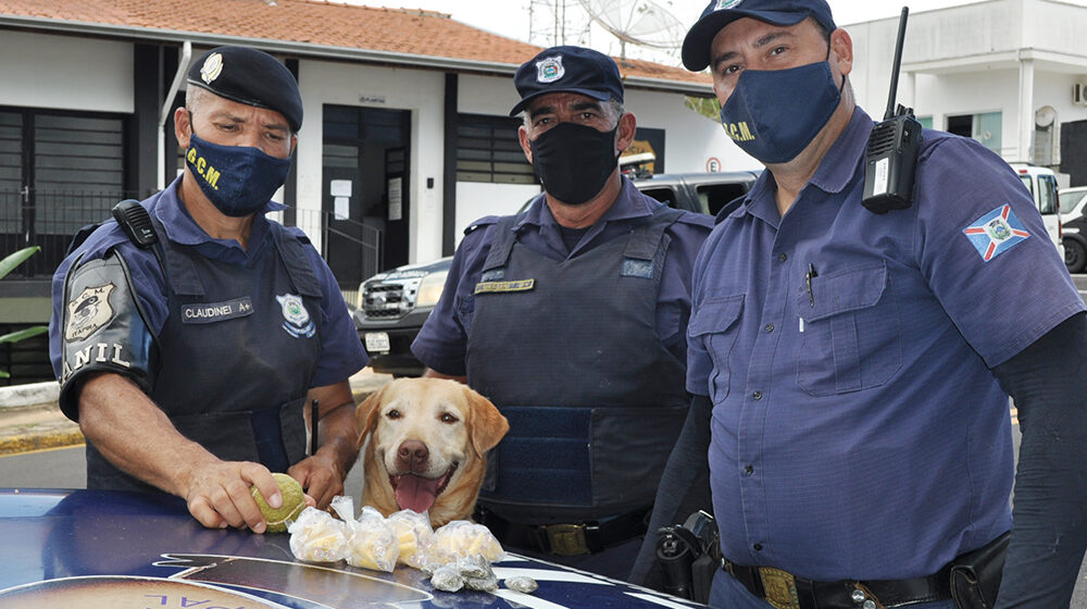 Aysha encontra cocaína e maconha no Barão