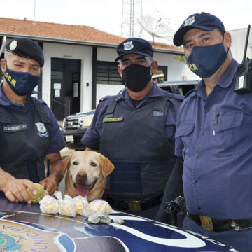 Aysha encontra cocaína e maconha no Barão