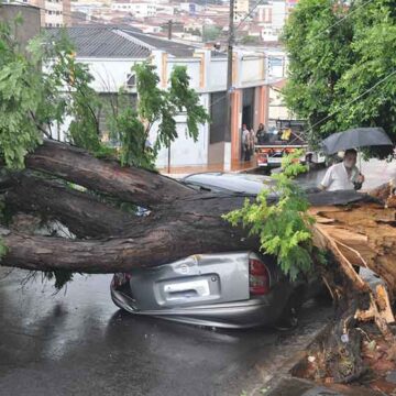 Forte chuva deixa rastros de destruição em Itapira