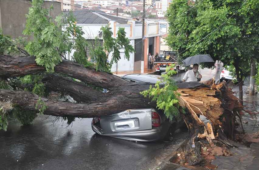 Forte chuva deixa rastros de destruição em Itapira