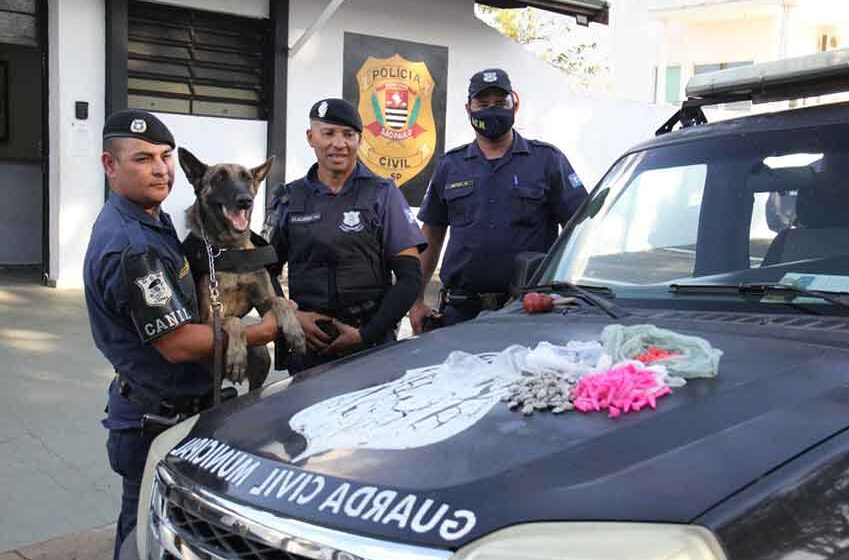 Menor é detido no São Judas com 39 pinos de cocaína na cueca