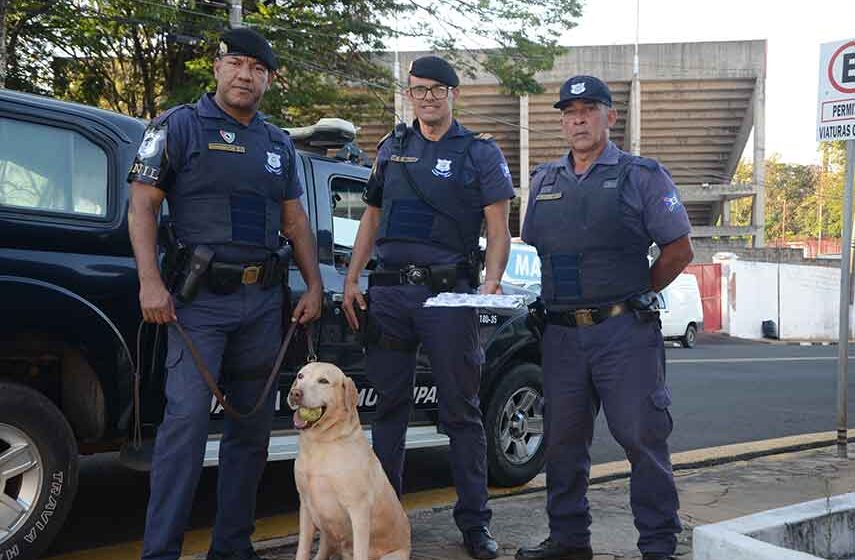 Aisha fareja porções de maconha e menor é detido pela GCM