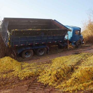 Caminhão carregado de bagaço de laranja tomba na estrada do Rio Manso