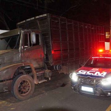 GCM salva família e impede roubo de 47 cabeças de gado