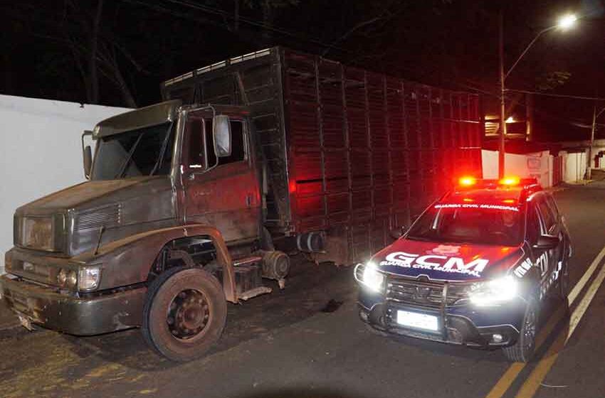 GCM salva família e impede roubo de 47 cabeças de gado