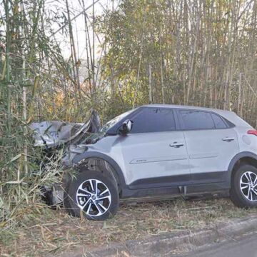 Creta colide contra três búfalos na Itapira/Lindóia