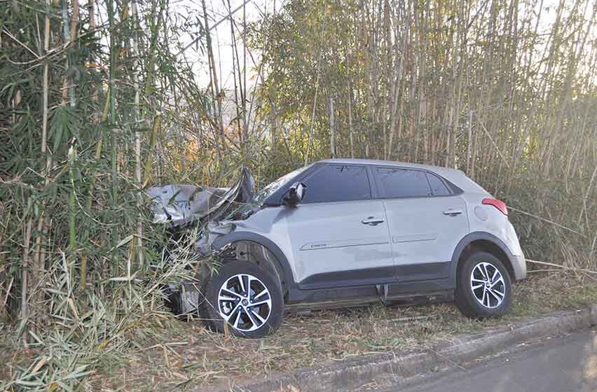 Creta colide contra três búfalos na Itapira/Lindóia