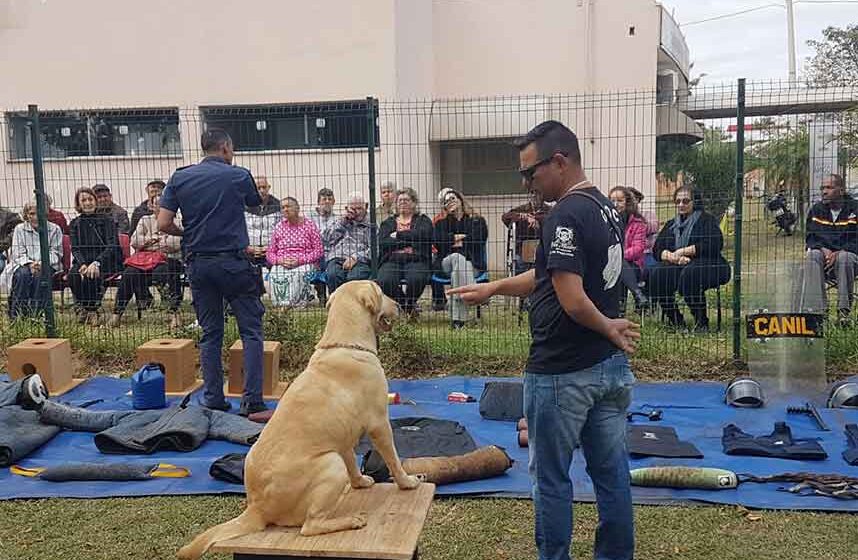 Canil da GCM faz apresentação no Centro Dia do Idoso