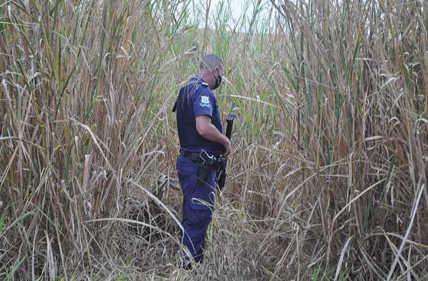 Corpo de homem é encontrado, em decomposição, na Jacuba