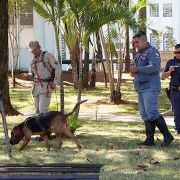 GCM e Defesa Civil participam de treinamento com cães farejadores