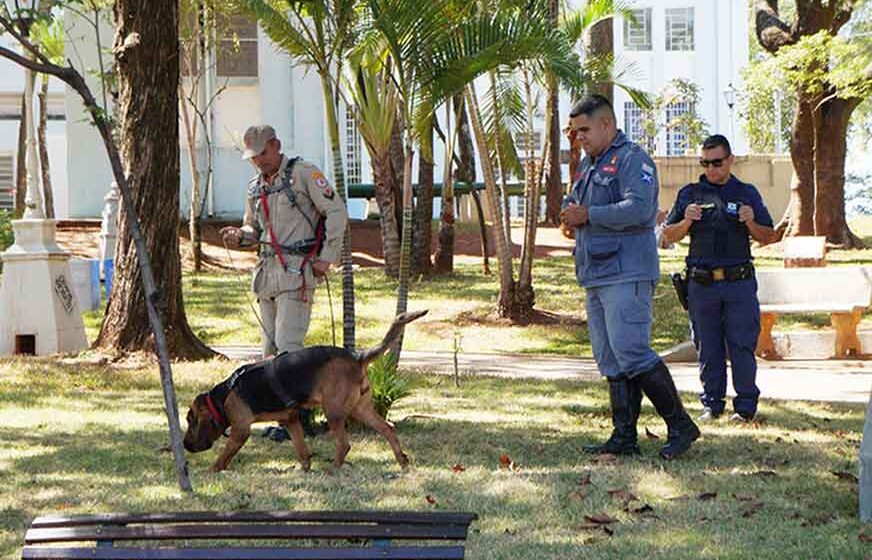 GCM e Defesa Civil participam de treinamento com cães farejadores