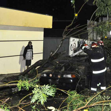 Vendaval derruba árvore em cima de carro na Padre Ferraz