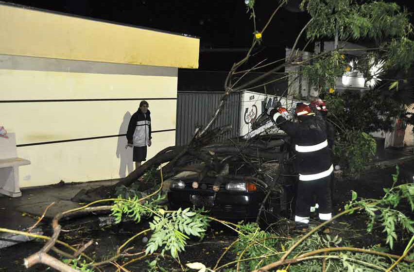 Vendaval derruba árvore em cima de carro na Padre Ferraz