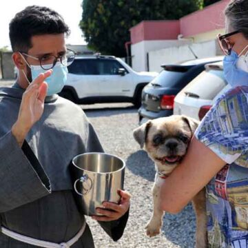 Paróquia de S. Benedito realiza bênção de animais nesta terça-feira
