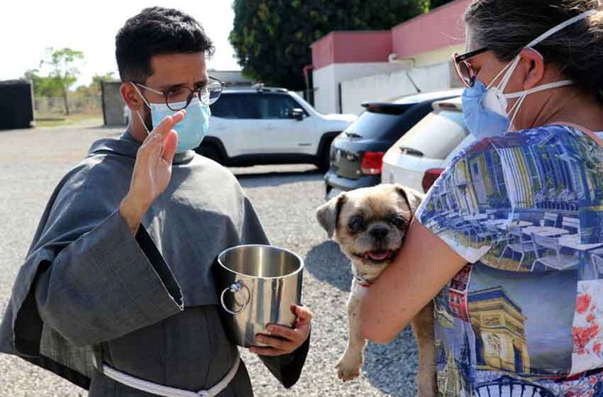 Paróquia de S. Benedito realiza bênção de animais nesta terça-feira