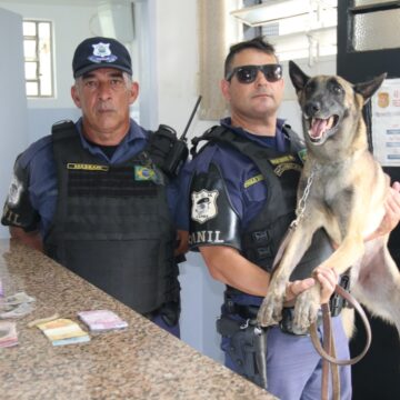 Canil da GCM apreende cocaína e maconha no Nosso Teto; um é detido