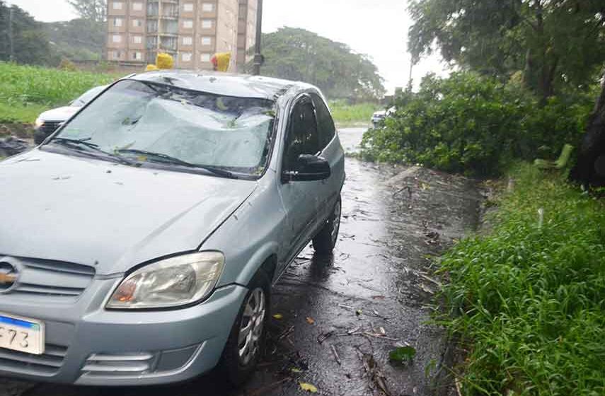 Árvore cai e atinge carro que trafegava na Lions Club