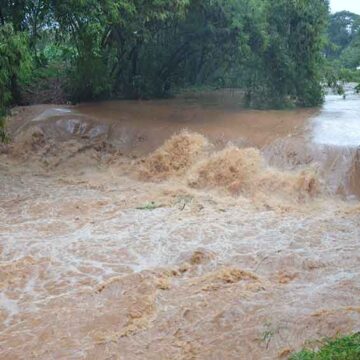 Acumulado de chuvas em dois meses ultrapassa casa dos 600mm