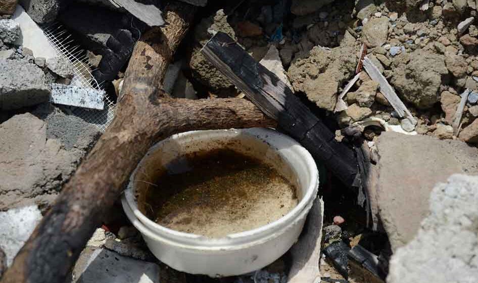 Bairro dos Prados e Vila Ilze lideram nos focos de dengue