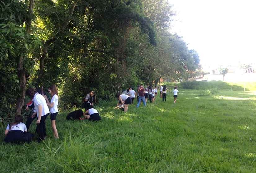 Cobertura vegetal de “Nascente Modelo” dobra de tamanho em 12 anos