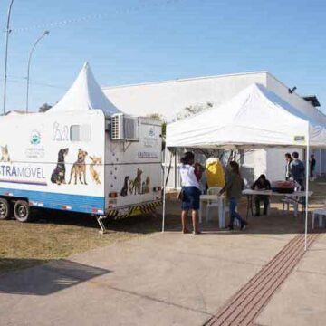 Castramóvel: aberta licitação que poderá atender 274 cães e gatos