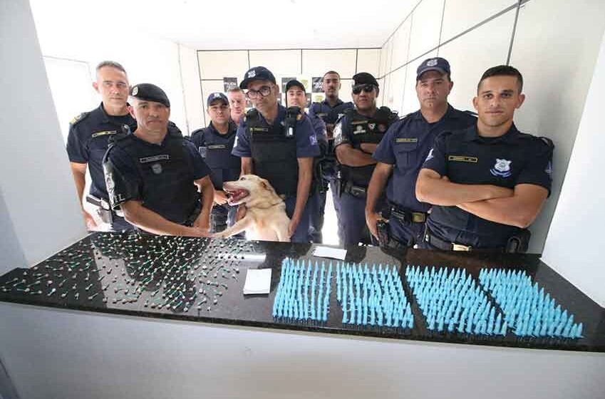 GCM apreende mais de 600 porções de droga e detém traficante