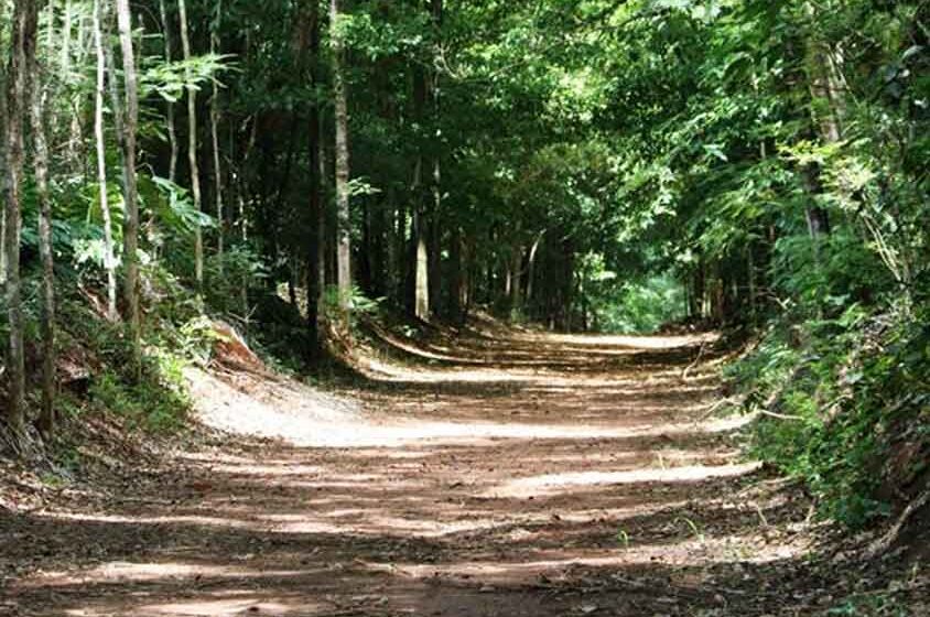 Horto Florestal de Mogi Mirim é reaberto para visitação