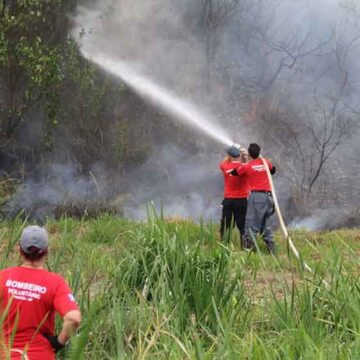 Fogo é combatido em área verde do Santa Bárbara