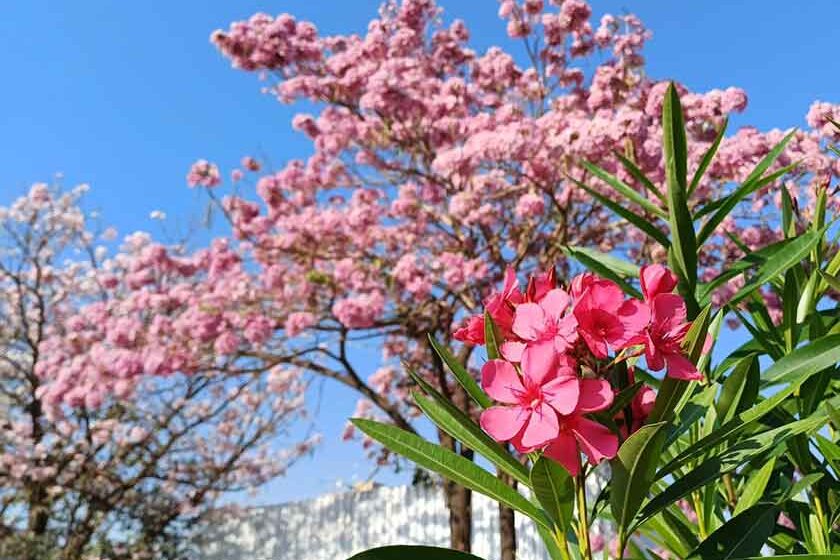 Primavera tem início prometendo calor “infernal”