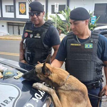 Canil da GCM surpreende traficante no Nosso Teto