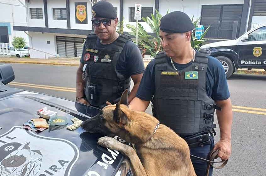 Canil da GCM surpreende traficante no Nosso Teto