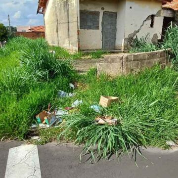 Falta de limpeza em propriedades já gerou 624 notificações em dois meses