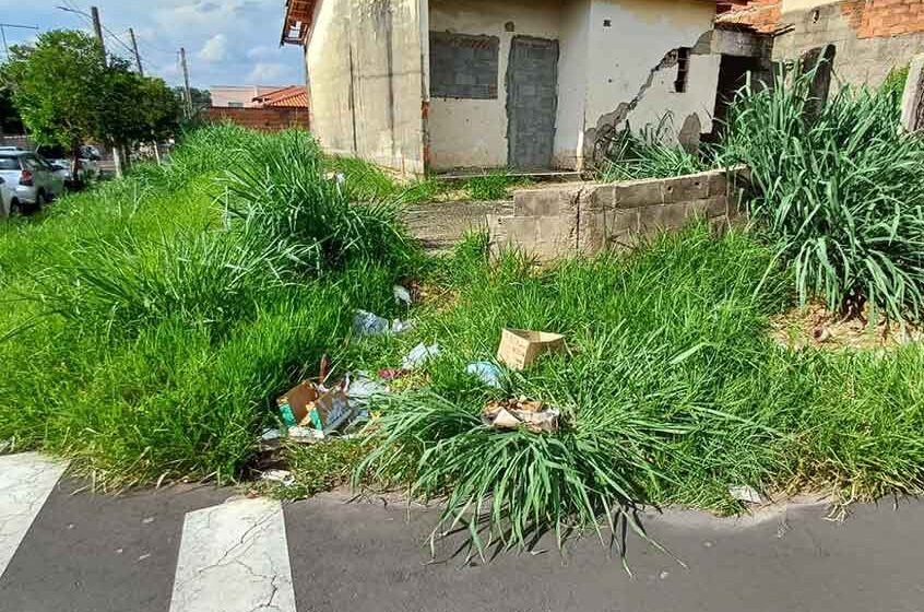 Falta de limpeza em propriedades já gerou 624 notificações em dois meses