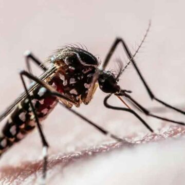 Mais de 10% da população de Itapira já se contaminou pela dengue