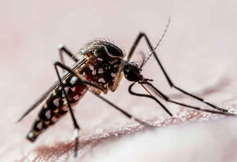 Mais de 10% da população de Itapira já se contaminou pela dengue