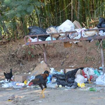 Moradores da zona rural querem melhor estabilidade na coleta de lixo