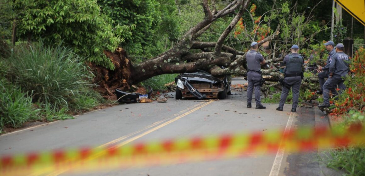 Homem morre após carro ser atingido por árvore no Cercado Grande